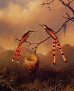 馬丁 約翰遜 赫德 Two Hummingbirds with Their Young